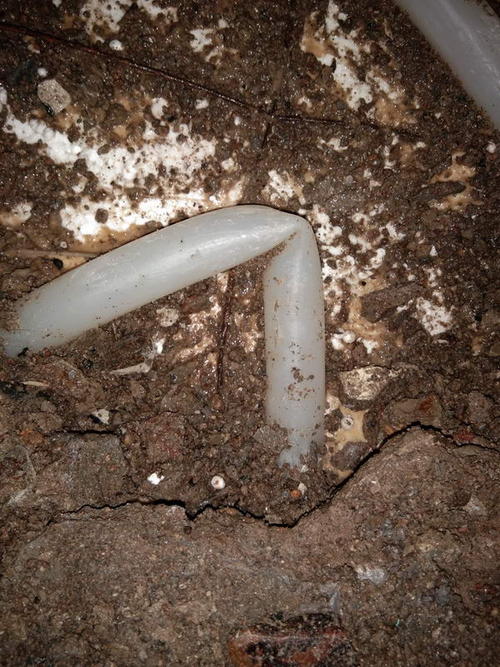 长兴堵点精准查找